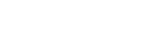 Nagina logo